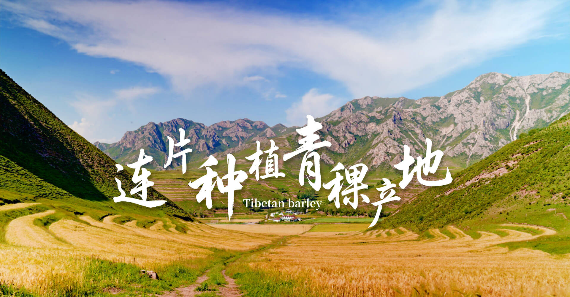 康源酿造